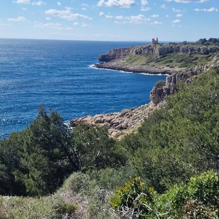 Torsano Nardo